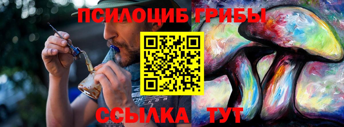 Псилоцибиновые грибы Psilocybine cubensis Тобольск